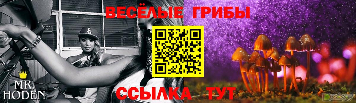 Псилоцибиновые грибы мухоморы  Вход с VPN  Волжский  Псилоцибиновые грибы ЛСД 